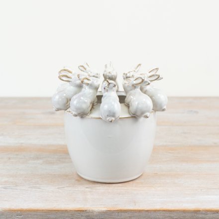 charming bunny rabbit plant pot