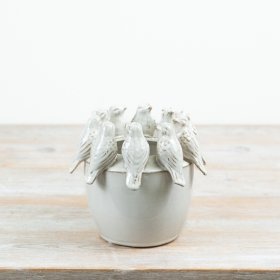 Adorable planter featuring a cute birdie motif