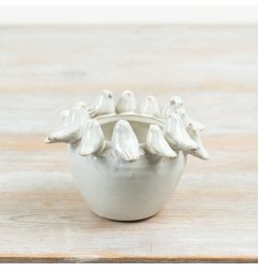 a charming bird design planter 