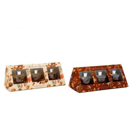 2/A Autumn Diffusers Set of 3