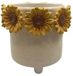 A delightful gift for plant lovers, birthdays, housewarmings, or anyone who enjoys bright and cheerful home deco