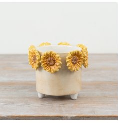 Give the perfect gift to plant enthusiasts, for birthdays, housewarmings