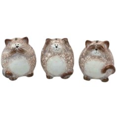 3 assorted cute cat figurines with playful expressions.