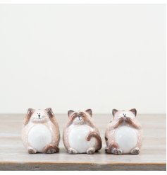 3 assorted cute cat figurines with playful expressions.