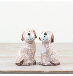 Elevate your décor with two adorable dog ornaments in a warm brown and neutral hue. Perfect for a woof-ly display.