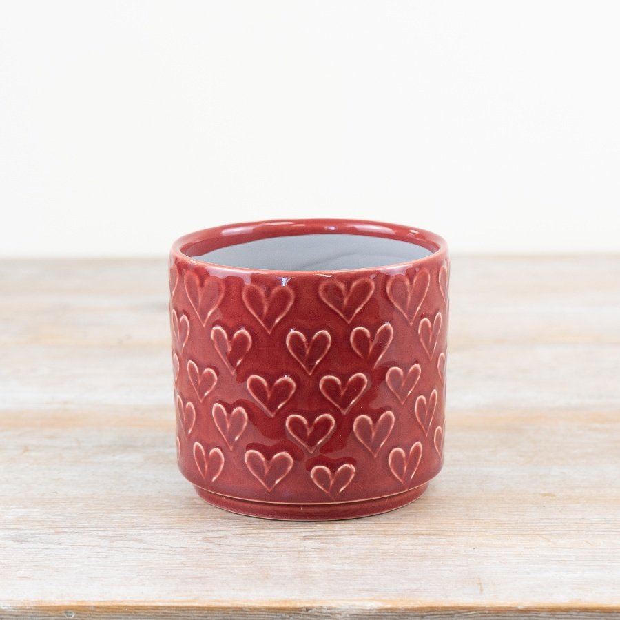 Chic red heart-shaped mini planter for a charming touch to your space.