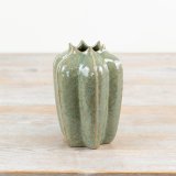 Bring the beauty of nature into the home with this seeded pod inspired vase in a rich green hue.