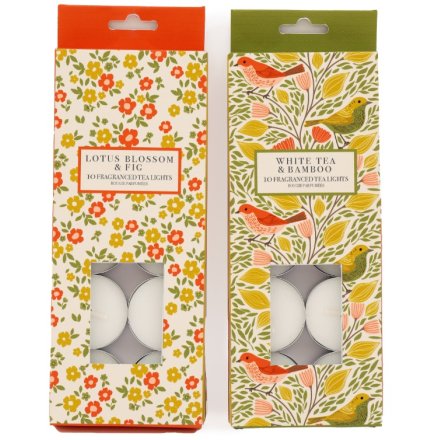 2/A Songbird Tealights, Pk10
