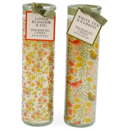 2/A Tube Candle Songbird , 20cm 
