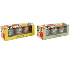 Set of 3 delightful candles featuring vibrant citrus designs.