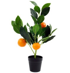 Brighten your space effortlessly with this 40cm Artificial Orange Tree
