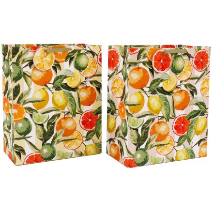 2/A Gift Bag Citrus, 33cm 