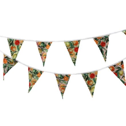 Citrus Bunting, 3.1M