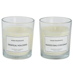 Create a cozy ambiance with our Scented Candle Wax Round 2-pacK