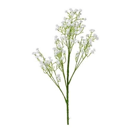 Gypsum Gypsophylla Stem, 65cm 