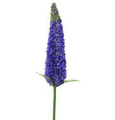 Add vibrant purple charm to your décor with the Bush On Stem 