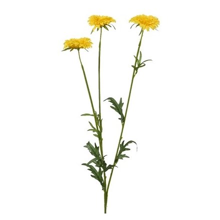 Marigold Spray X 3 on Stem 