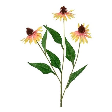 Echinacea Coneflower W Leaf Spray, 68cm 