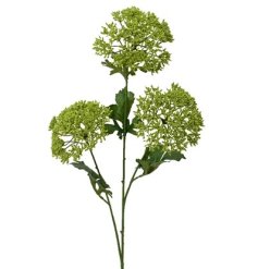 Spray Dill On Stem PE Dill Spray: fresh, fragrant dill in a convenient spray bottle