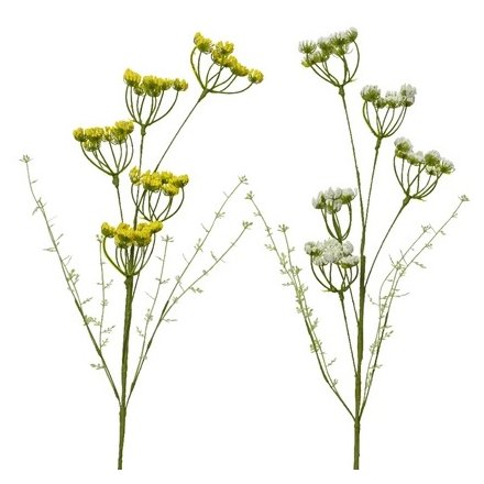 Artificial Daucus Carota, 2a