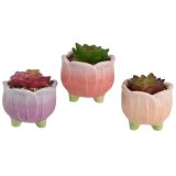 a charming assortment of pastel plants in a pot 