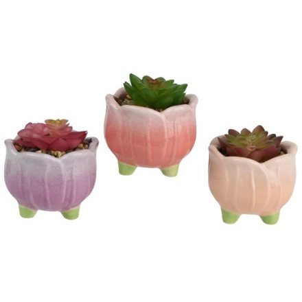 3/A Artificial Plants, 9.5cm 