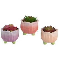 a charming assortment of pastel plants in a pot 
