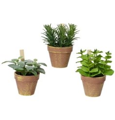 A mix of 3 artificial herb plants with pots. An everlasting addition to the home with a realistic finish. 