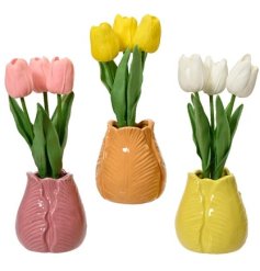 Add colour to the home with this everlasting gift set. A fine quality and colourful gift item this season.