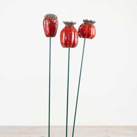 Ovary garden stake adds charm and elegance to your outdoor space.