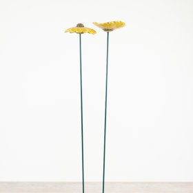 Bring natural charm with this set of 2 assorted daisy flowers for a fresh, floral touch.