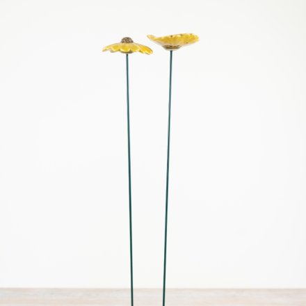 Set of 2 assorted daisy flowers to bring a natural, charming touch to your space.