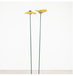 Set of 2 assorted daisy flowers to bring a natural, charming touch to your space.