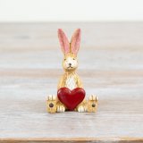 A gorgeous little Jasper Rabbit sat whilst holding onto a rose red heart.