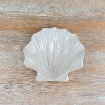 A beautiful, minimalist clam dish in a crisp, fresh white shade.