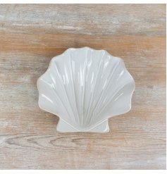 A beautiful, minimalist clam dish in a crisp, fresh white shade.