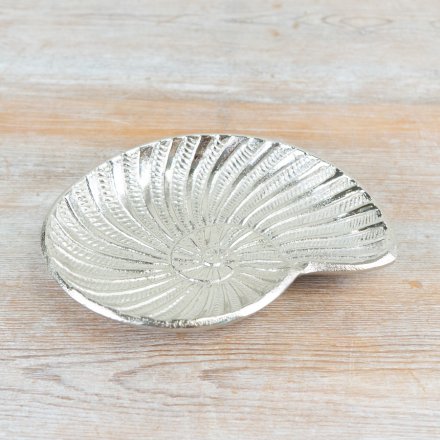 A decorative shell shaped trinket dish. Beautifully detailed and textured. 