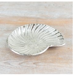 A decorative shell shaped trinket dish. Beautifully detailed and textured. 