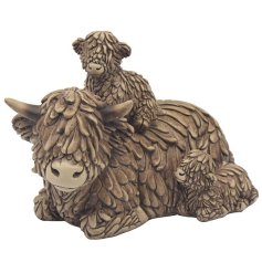 A family trio of Highland cows all huddled together. 