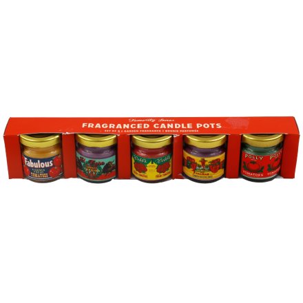 S/5 Mini Tomato Candle Jars, 5cm