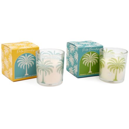 2/A Palm Boxed Candle, 7.5cm 