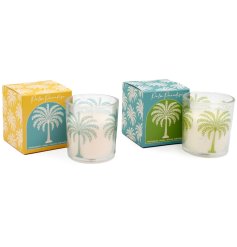 Add a tropical touch with our 7.5cm Palm Boxed Candle