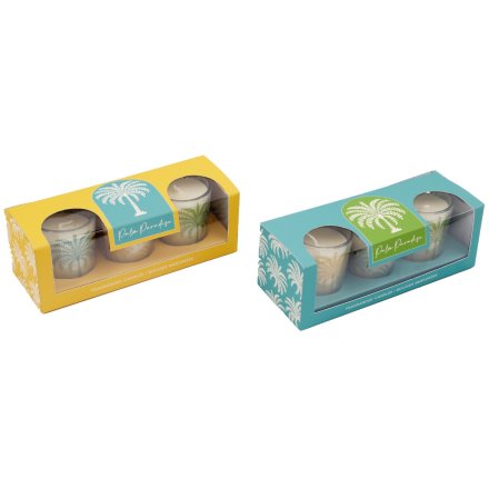 2/A Palm Votives, 6.2cm 