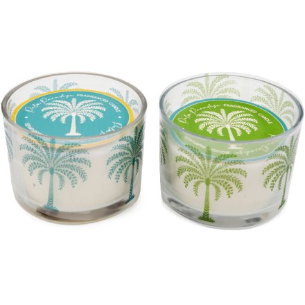 2/A Palm Tree Candle, 11cm 