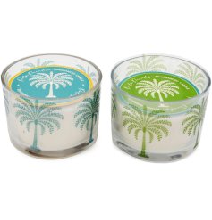 Add a splash of tropical charm to your space with this vibrant candles