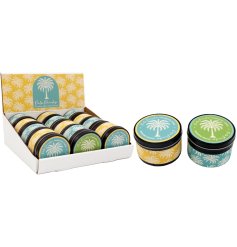 Brighten your space with Palm Tin Candle,