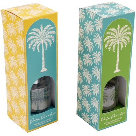 2/A Palm Diffuser,100ml