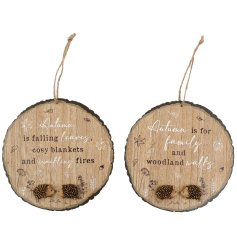 a assortment of hanging plaque featuring a charming hedgehog design