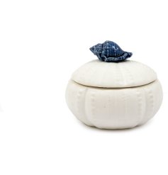 Delightful shell-shaped pot with lid, showcasing a subtle white and blue seaside pattern.