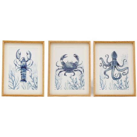 3/A Sealife Wall Art, 40cm 